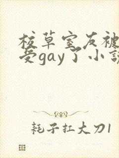 校草室友被清冷受gay了小说