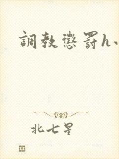 调教惩罚h小说