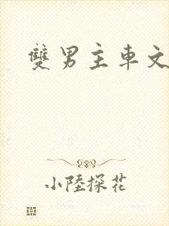 双男主车文高h