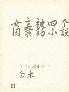 女主被四个病娇囚禁的小说