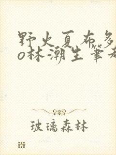 野火夏布多昂po林潮生笔趣阁