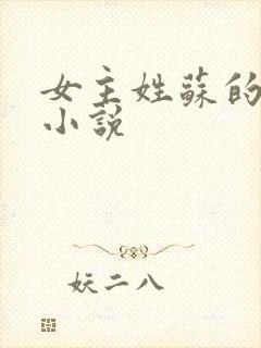 女主姓苏的现代小说