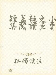 短篇辣文小说全集阅读免费封面