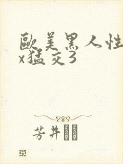 欧美黑人性xxx猛交3