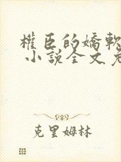 权臣的娇软美人 小说全文免费阅读