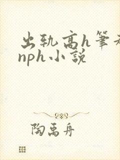 出轨高h笔趣阁nph小说封面