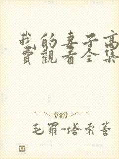 我的妻子高清免费观看全集电视剧封面