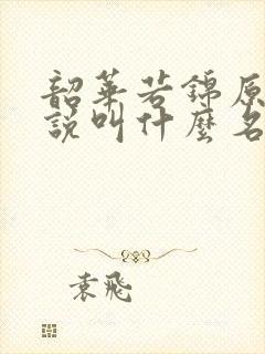 韶华若锦原著小说叫什么名字