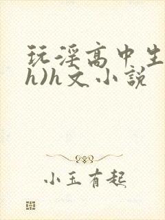 玩淫高中生(高h)h文小说
