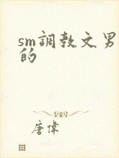 sm调教文男男的