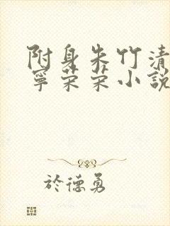 附身朱竹清控制宁荣荣小说
