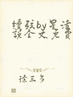 续弦by星渚小说全文免费阅读