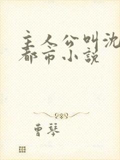 主人公叫沈淮的都市小说