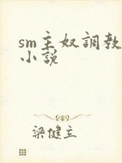 sm主奴调教文小说