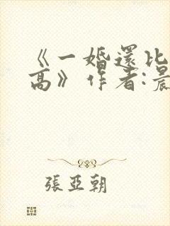 《一婚还比一婚高》作者:晨雾的光