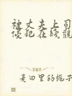 被丈夫上司持久侵犯在线观看