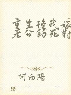 重生后我嫁给了老公的死对头 短剧