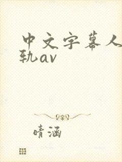 中文字幕人妻出轨av