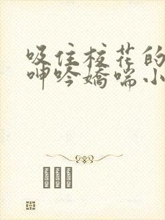 吸住校花的奶头呻吟娇喘小说