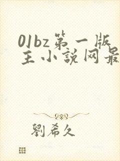 01bz第一版主小说网最新