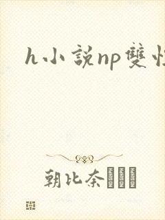h小说np双性