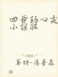 四爷的心尖宠妃小说版封面