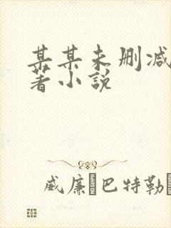 某某未删减版原著小说封面