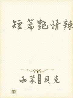 短篇艳情辣文