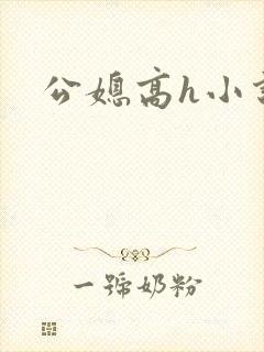 公媳高h小说封面