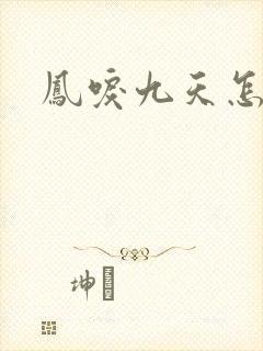 凤唳九天怎么读封面
