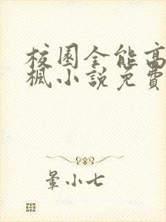 校园全能高手季枫小说免费阅读txt下载