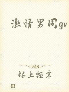 激情男同gv封面