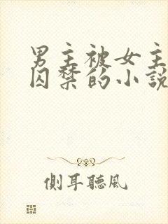 男主被女主改造囚禁的小说