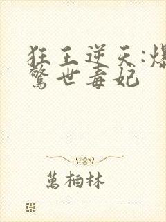 狂王逆天:爆宠惊世毒妃