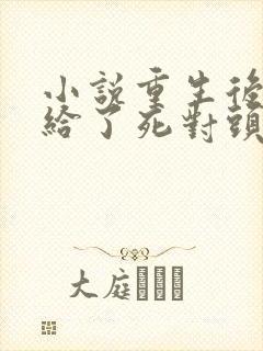 小说重生后我嫁给了死对头