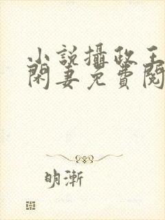 小说摄政王的小闲妻免费阅读