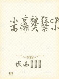 小哀被狂c躁到高潮失禁小说