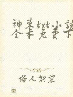 神墓txt小说全本免费下载