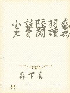 小说陆羽盛凌云免费阅读无弹窗