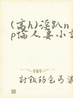 (高h)淫趴np伦人妻小说