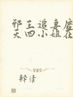 邪王追妻废材逆天四小姐在线阅读封面
