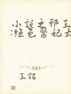 小说之邪王独宠:绝色医妃太逆天