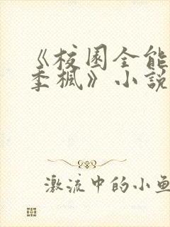 《校园全能高手季枫》小说