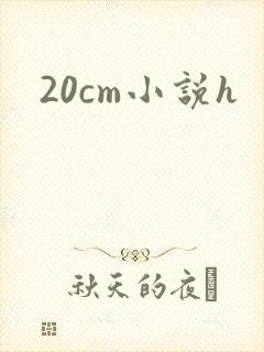 20cm小说h