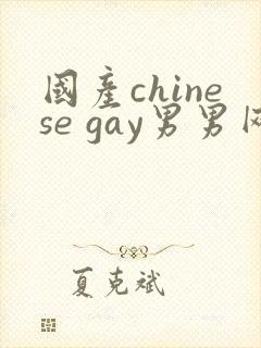 国产chinese gay男男网站封面