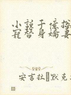小说千亿总裁独宠替身娇妻全文免费