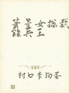 萧晨女总裁的全能兵王