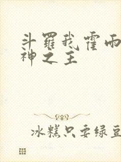 斗罗我霍雨浩精神之主