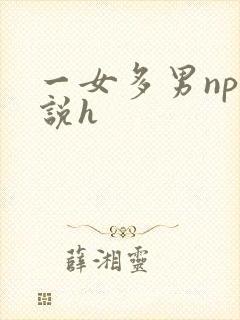 一女多男np小说h