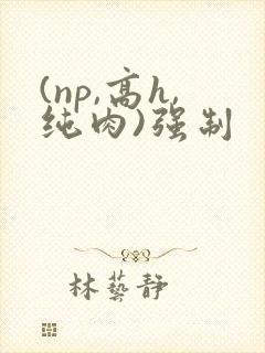 (np,高h,纯肉)强制